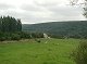Blick auf die Weiden und die Nahe